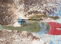 AYX·爱游戏-亨利阿尔瓦雷斯，全能前锋的完美诠释